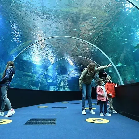 Les Warenne - 2 Saint-Étienne-au-Mont