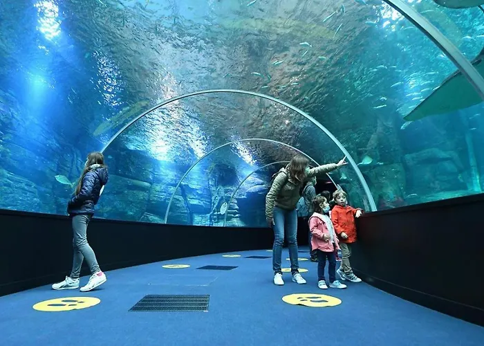 Les Warenne - 2 Saint-Étienne-au-Mont